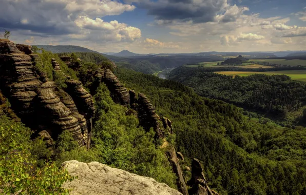 Forest, mountain, natural