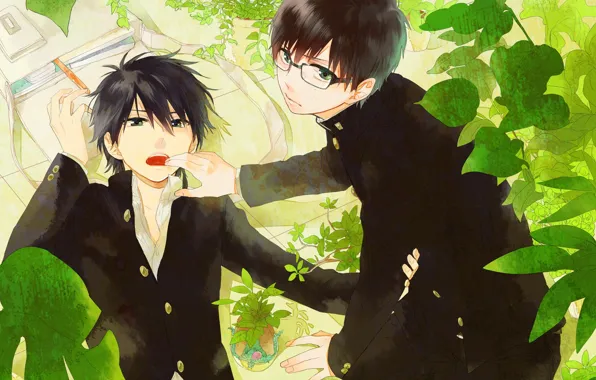 Братья, Юкио Окумура, Рин Окумура, Синий Экзорцист, Ao No Exorcist