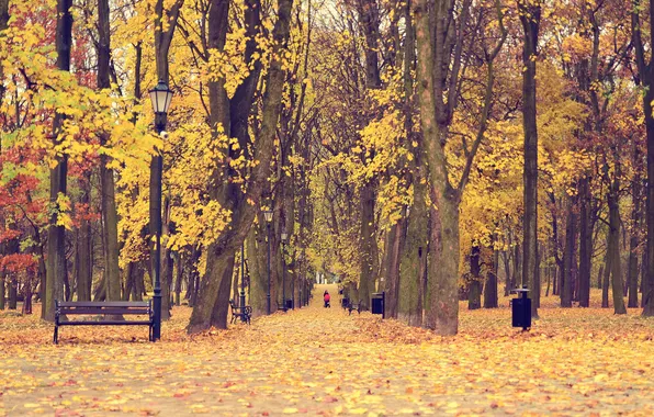 Картинка осень, листья, деревья, парк, путь, ребенок, скамейки, мать