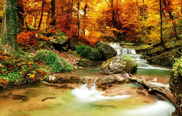 Картинка осень, лес, деревья, пейзаж, природа, река, водопад, forest