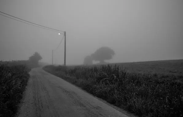 Light, road, foggy, power line, farmland