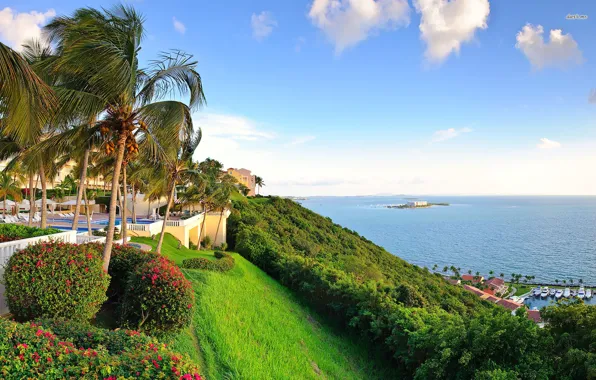 City, sea, nature
