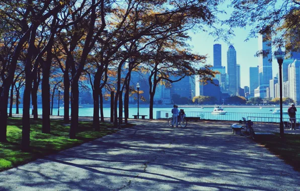 Картинка осень, парк, люди, небоскребы, чикаго, Chicago