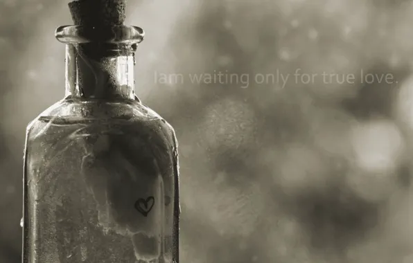 Любовь, надпись, бутылка, записка, i am waiting only for true love, searching