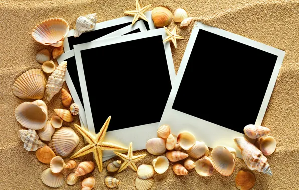 Картинка песок, ракушки, texture, sand, seashells, starfishes, photo frame