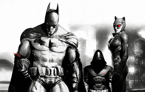 Картинка batman, Batman Arkham City, catwoman
