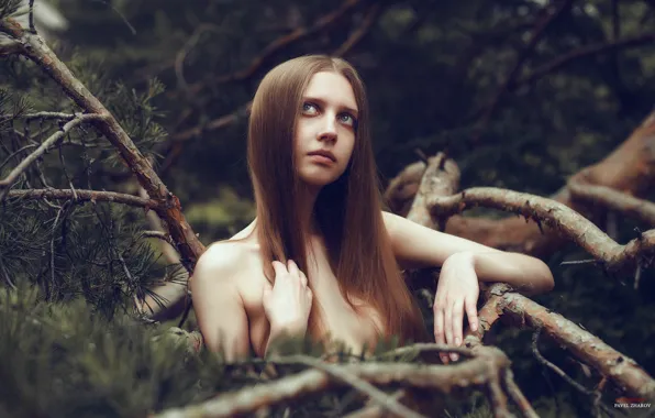 Взгляд, ветки, лицо, портрет, light, шатенка, ручки, sexy