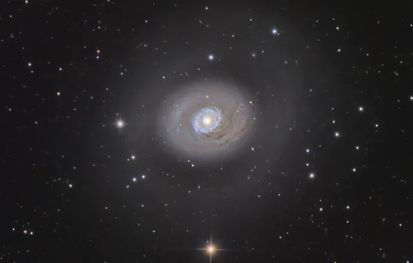 Галактика, спиральная, в созвездии, Гончих Псов, M94 Galaxy