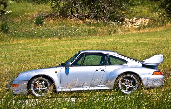 Дорога, трава, деревья, серый, 911, Porsche, silver, grass