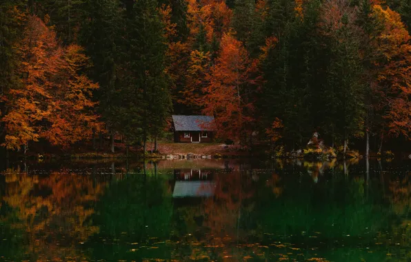 Осень, лес, вода, озеро, отражение, темный фон, берег, вид