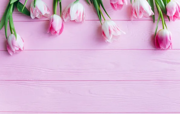 Цветы, тюльпаны, розовые, fresh, wood, pink, flowers, beautiful