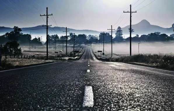 Картинка дорога, туман, разметка, столбы, провода