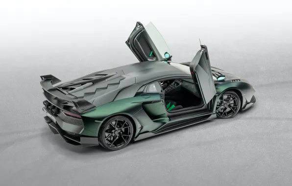 Lamborghini, двери, суперкар, Aventador, Mansory, 2020, SVJ, Cabrera