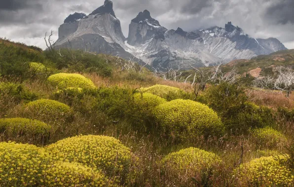 Облака, пейзаж, горы, природа, растительность, Чили, Патагония