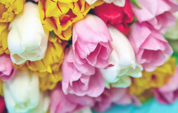 Цветы, букет, весна, colorful, тюльпаны, fresh, pink, flowers