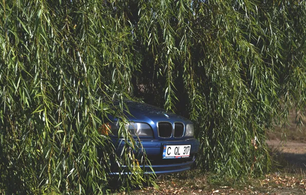 Авто, 5 series, е39