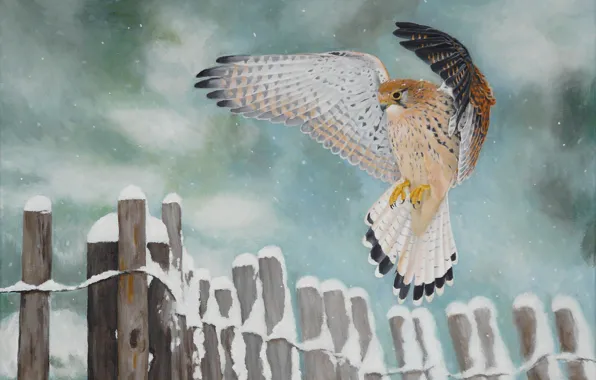 Картинка снег, птица, рисунок, ограда, арт