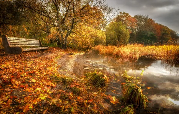 Осень, парк, скамья