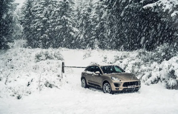 Дорога, Porsche, холм, кроссовер, Diesel, Macan S