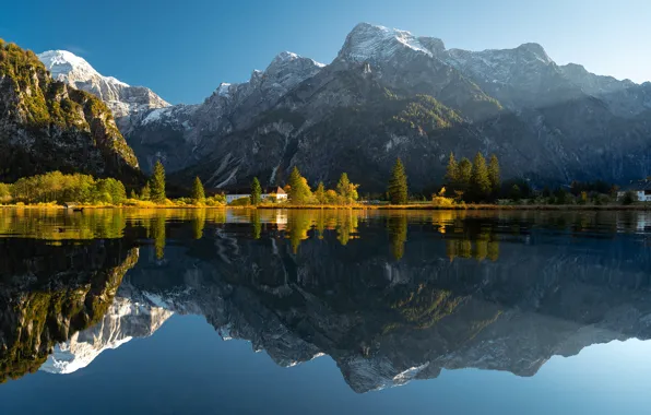 Деревья, горы, озеро, отражение, Австрия, Альпы, Austria, Alps