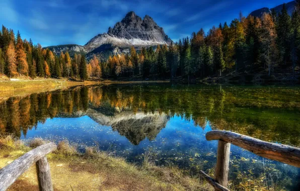 Осень, лес, деревья, горы, озеро, отражение, Италия, Italy