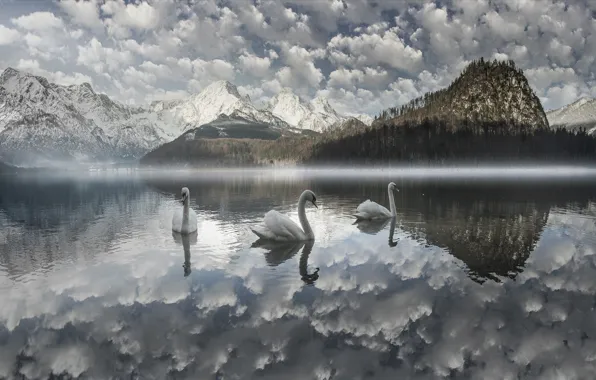 Картинка облака, пейзаж, горы, птицы, природа, туман, озеро, Австрия