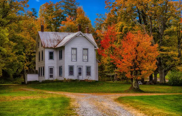 Осень, деревья, дом, США, Франклин, штат Нью-Йорк