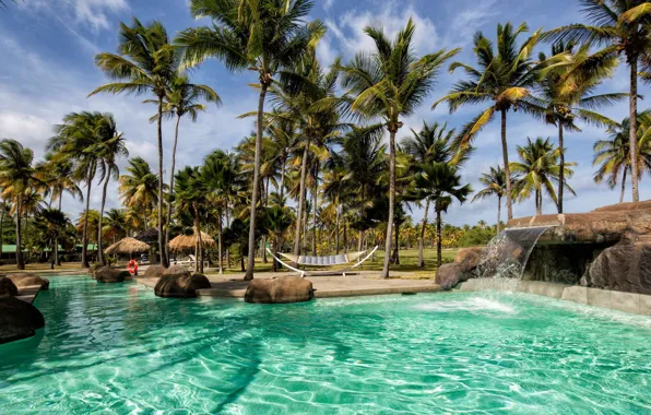 Пальмы, бассейн, курорт, Caribbean, Saint Vincent & Grenadines, Palm Island Resort & Spa, Гренадины