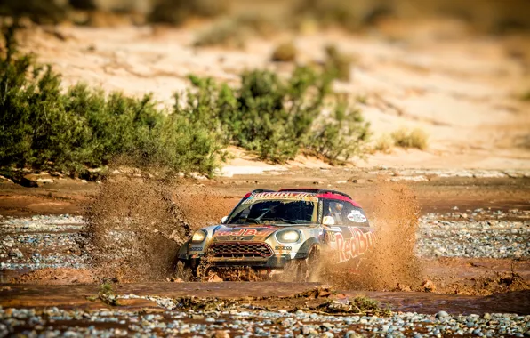 Mini, Спорт, Скорость, Гонка, Грязь, Лужа, Брызги, Rally