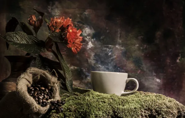 Картинка цветок, кофе, мох, кружка, ваза, мешок, зёрна