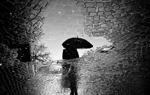 Картинка дорога, город, отражение, дождь, человек, зонт, лужа, тротуар