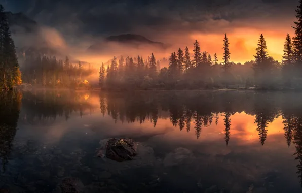 Картинка пейзаж, горы, природа, туман, озеро, рассвет, Австрия, леса