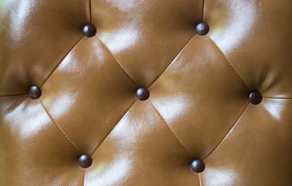 Фон, текстура, кожа, texture, background, leather, обивка, luxury