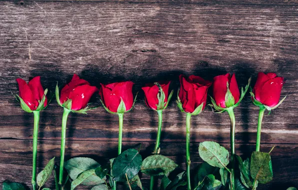Картинка цветы, розы, красные, red, бутоны, wood, flowers, romantic