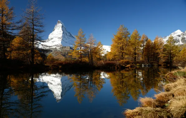 Картинка деревья, горы, озеро, отражение, вершины, Швейцария, Grindjisee
