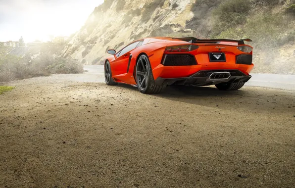 Lamborghini, Orange, Car, Sun, LP700-4, Aventador, Road, Rear