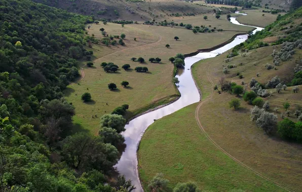 River, nature, tree