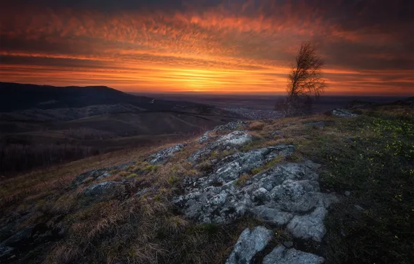 Осень, небо, облака, закат, цветы, горы, камни, дерево