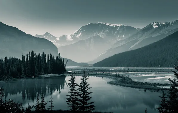 Картинка лес, деревья, горы, озеро, скалы, Канада, Альберта, Banff National Park