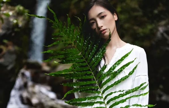 Beautiful, Asian, Model, Tree, Woman, Cute, Leaf, Pretty