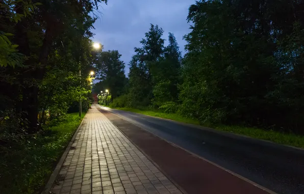Дорога, лето, небо, деревья, тучи, вечер, фонари, Россия
