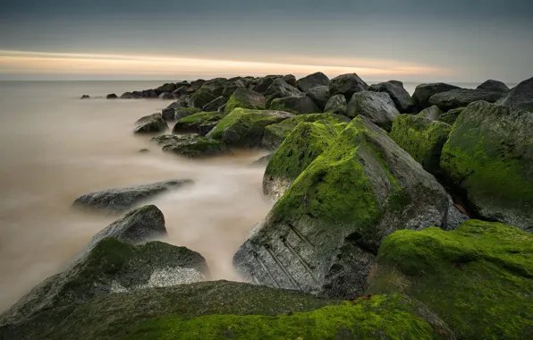 Море, небо, облака, водоросли, камни, берег, мох, зеленые