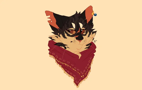 Кот, морда, платок