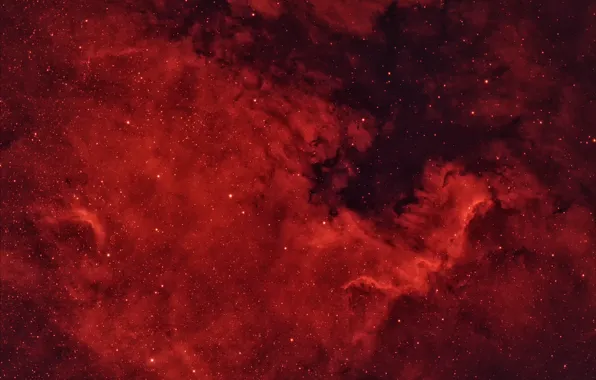 Лебедь, в созвездии, NGC7000, Туманность Северная Америка