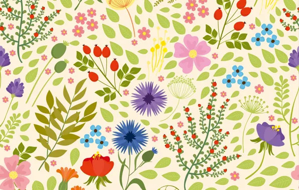 Белый, Nature, Flowers, ФОН, pattern, ЦВЕТЫ, wildflowers, Seamless