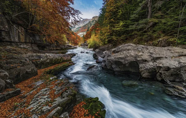 Осень, лес, скалы, берег, листва, водопад, поток, краски осени