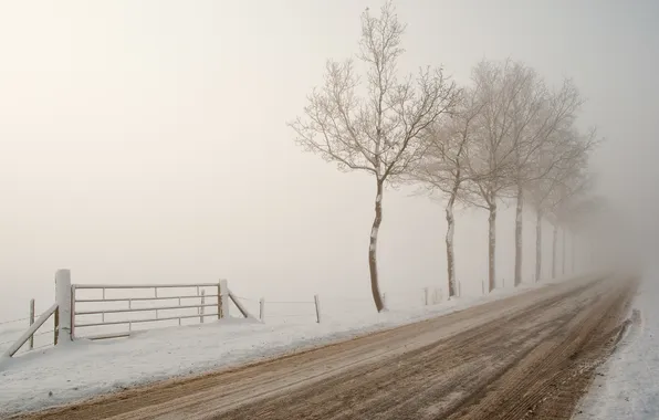 Снег, туман, wintery road