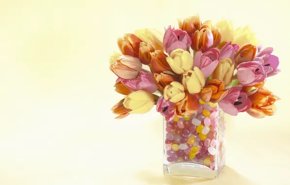 Цветы, тюльпаны, ваза