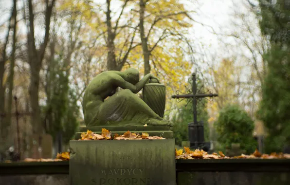 Cemetery, death, graveyard, remember you will die