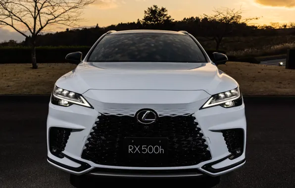 Lexus, Лексус, вид спереди, 2022, Lexus RX 500h